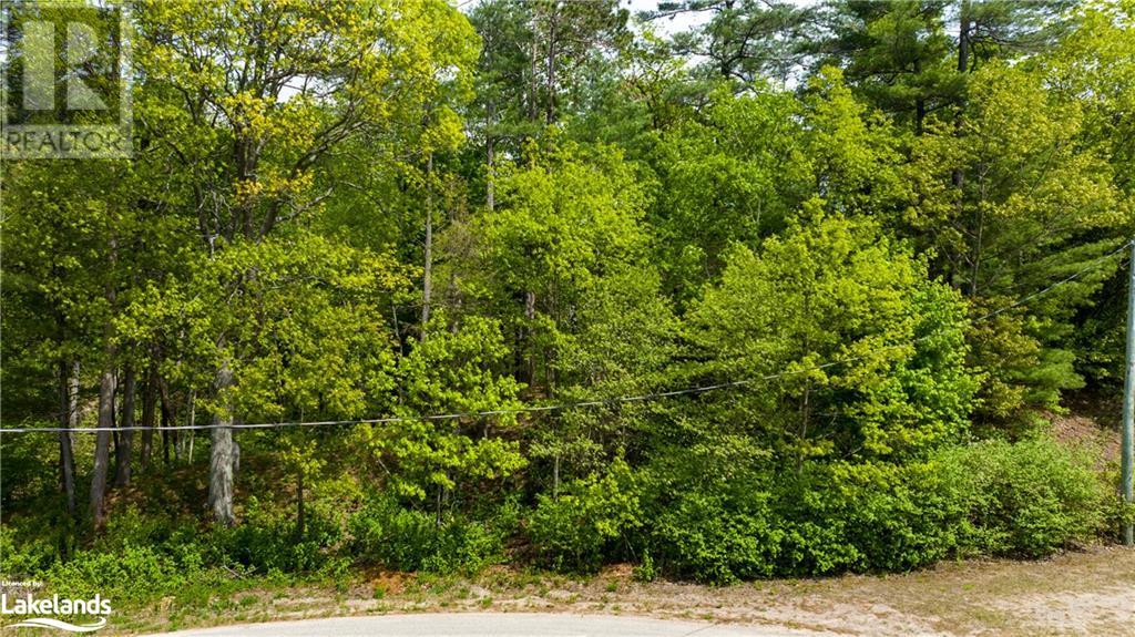 Listing 40367334 - Large Photo # 28