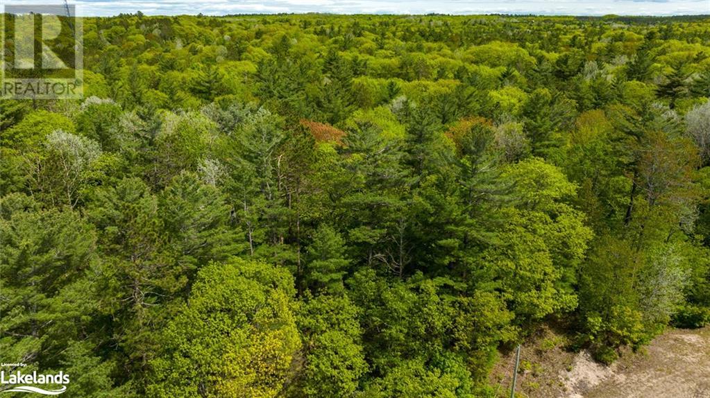Listing 40367334 - Large Photo # 13