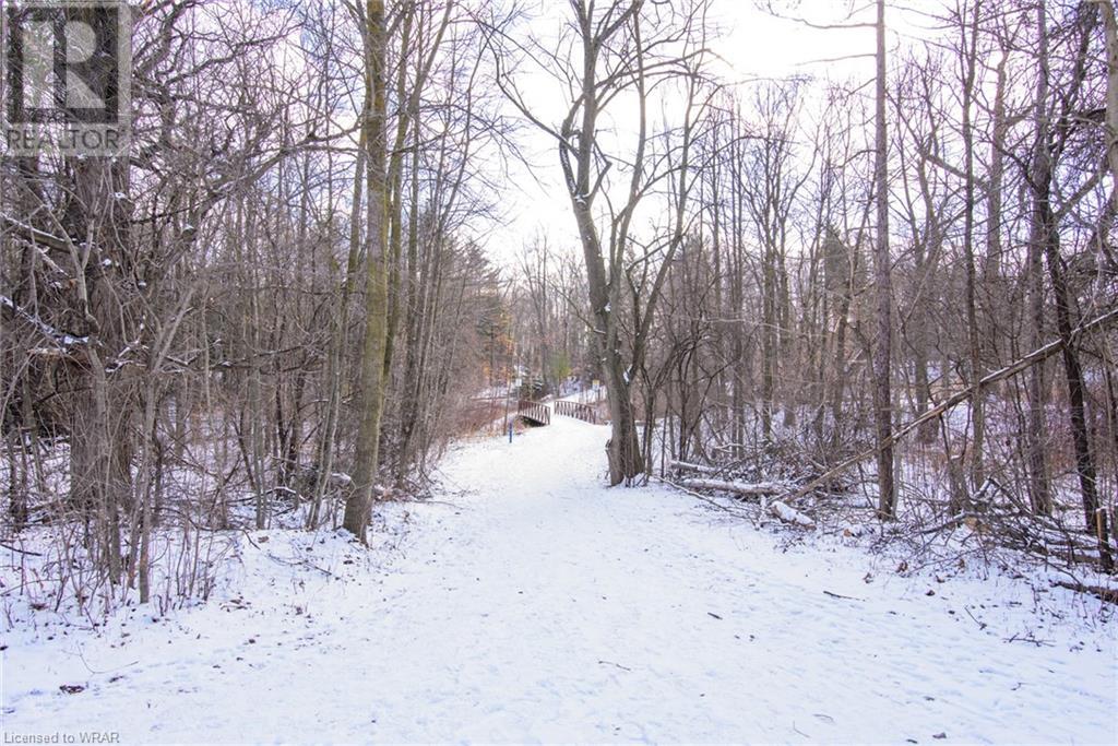Listing 40367960 - Large Photo # 18