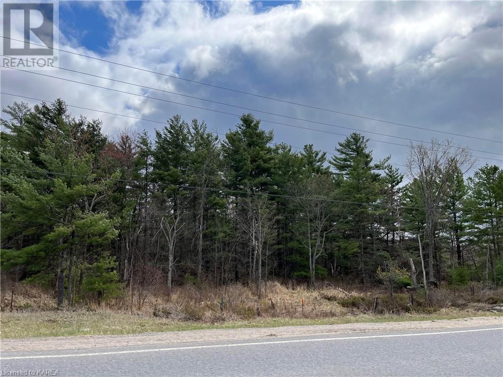 Listing 40368557 - Large Photo # 3