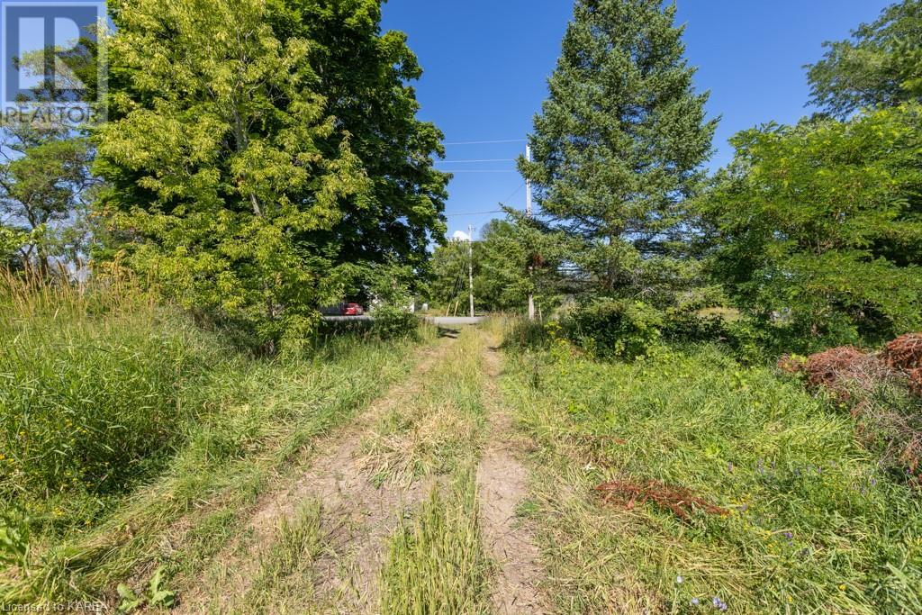 Listing 40368806 - Large Photo # 8