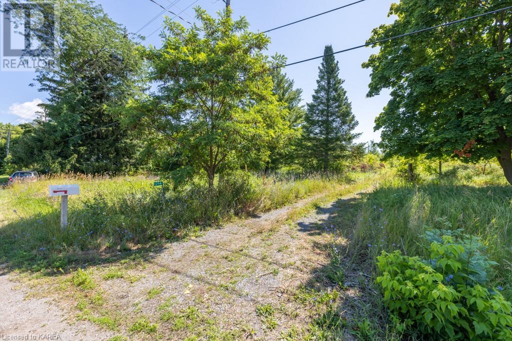 Listing 40368806 - Large Photo # 2