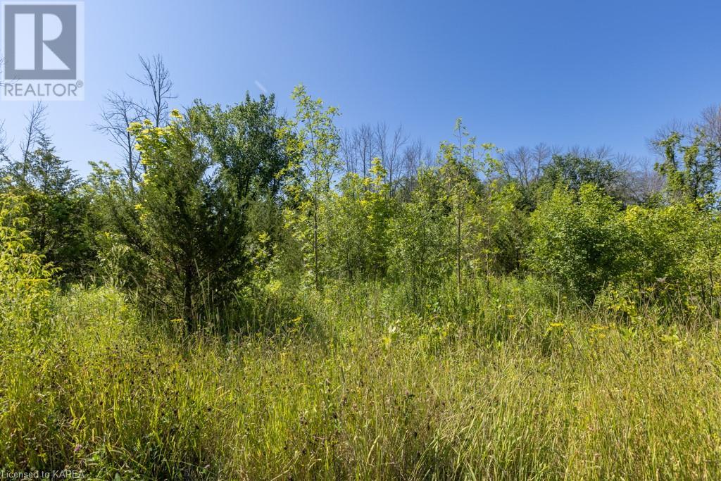 Listing 40368806 - Large Photo # 10
