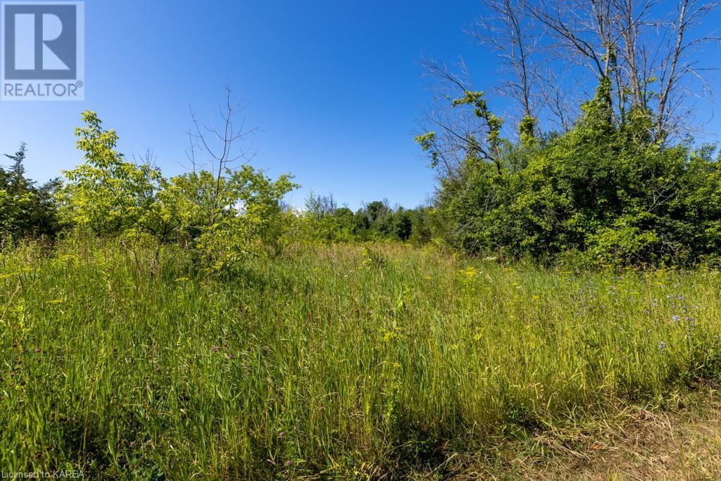 Listing 40368806 - Large Photo # 11