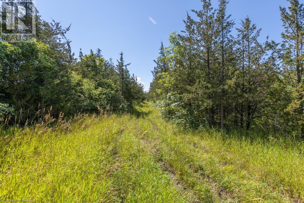 Listing 40368806 - Large Photo # 17
