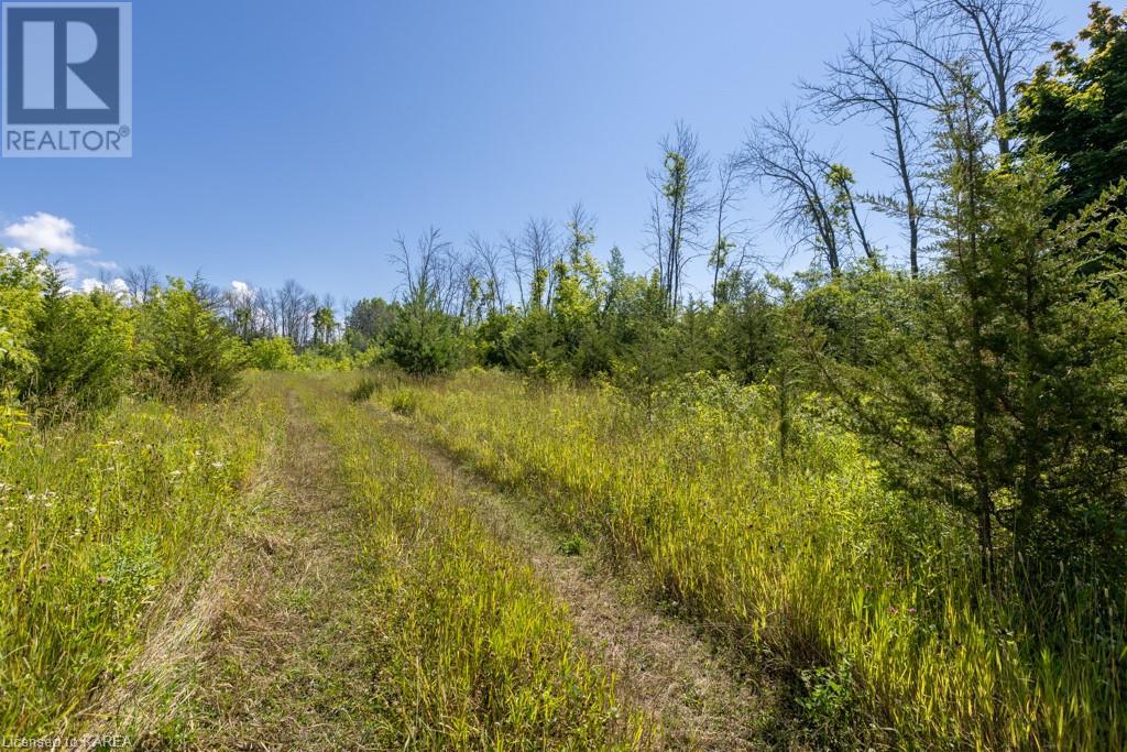Listing 40368806 - Large Photo # 9