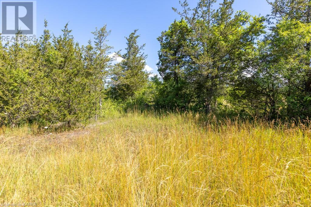 Listing 40368806 - Large Photo # 16