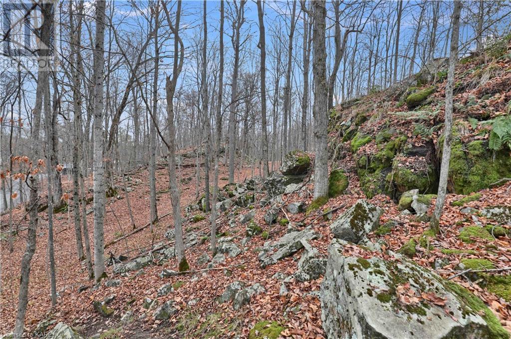 Listing 40368889 - Large Photo # 43