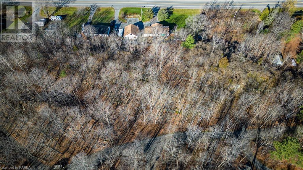 Listing 40368889 - Large Photo # 47