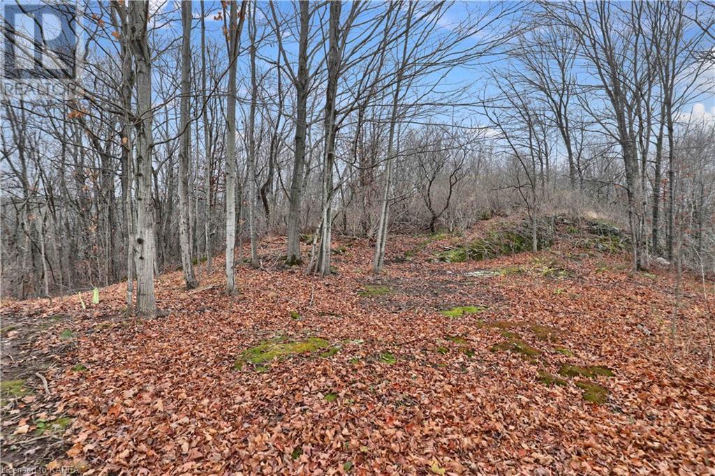 Listing 40368889 - Large Photo # 40