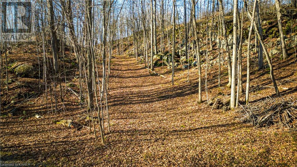 Listing 40368889 - Large Photo # 42