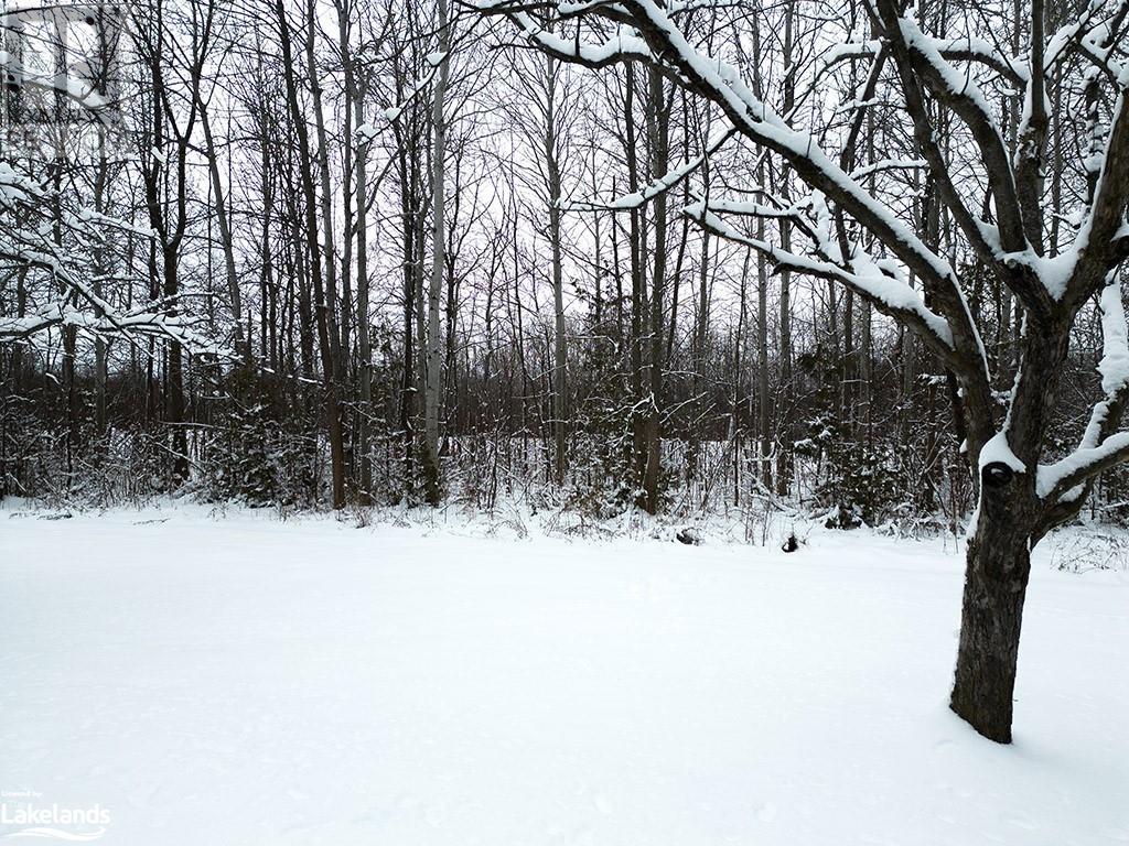 Listing 40369002 - Large Photo # 19