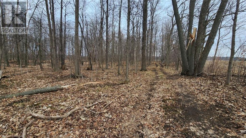 Listing 40369356 - Large Photo # 4
