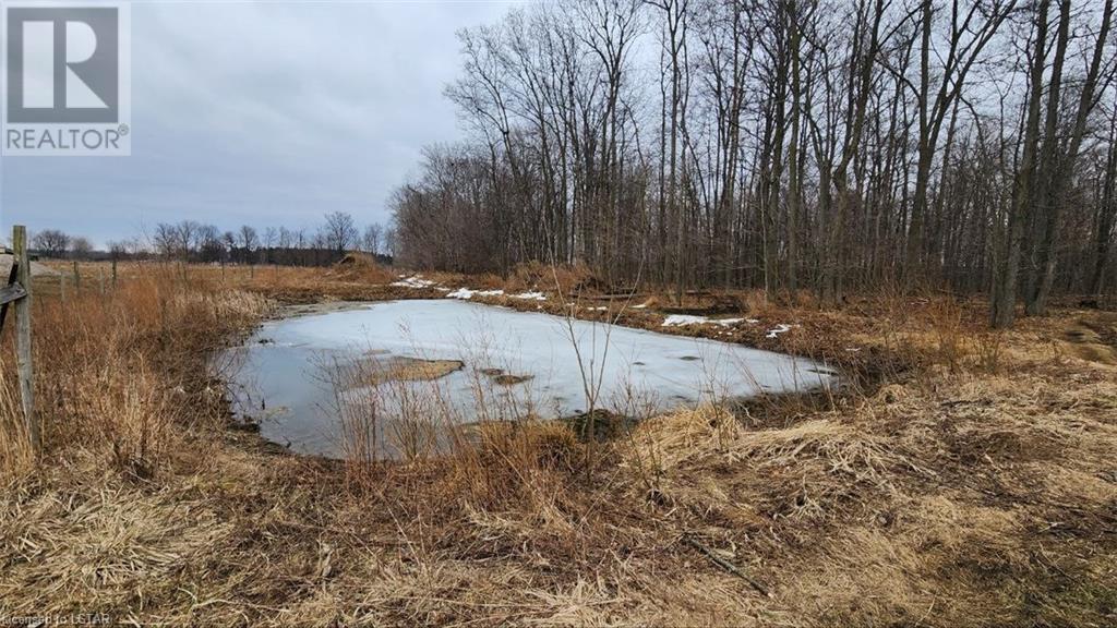 Listing 40369356 - Large Photo # 3