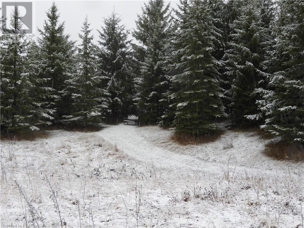 Listing 40369634 - Large Photo # 12