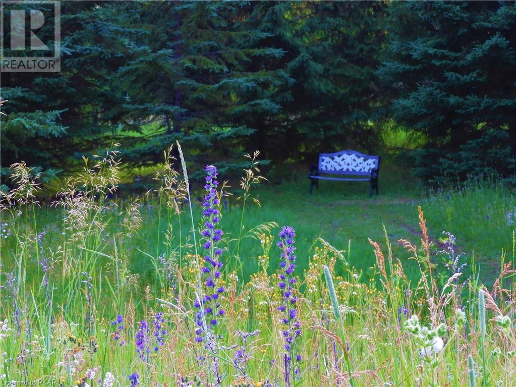 Listing 40369634 - Large Photo # 17