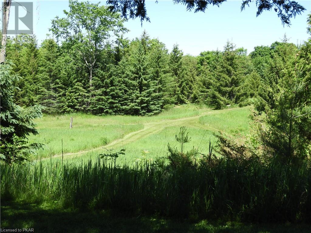 Listing 40369634 - Large Photo # 7