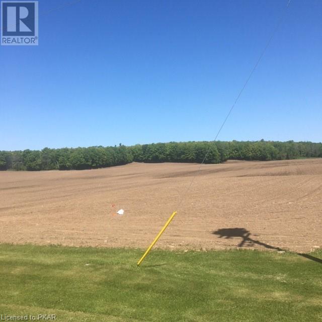 Listing 40370032 - Large Photo # 10