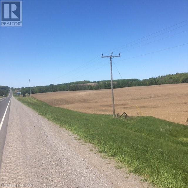 Listing 40370032 - Large Photo # 5