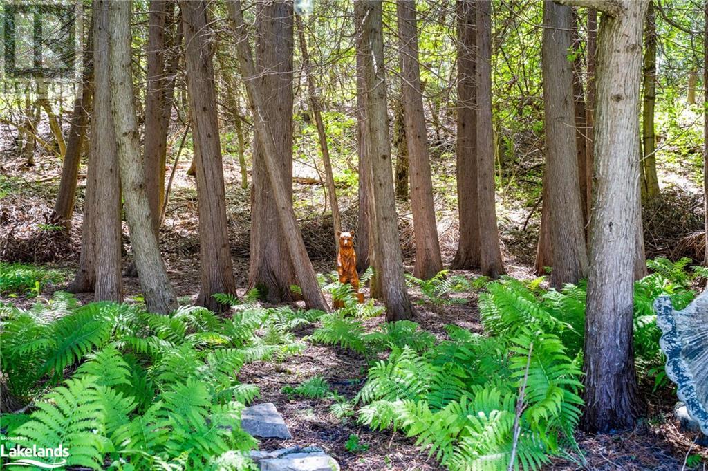 Listing 40370246 - Large Photo # 49