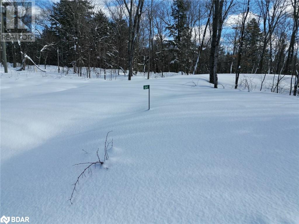 Listing 40370315 - Large Photo # 5
