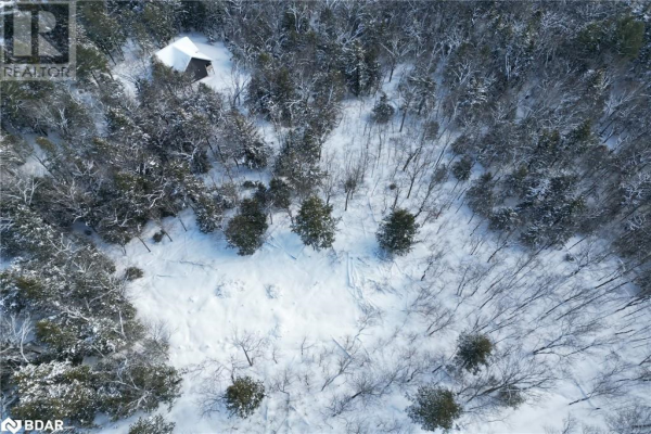 64 NORTH SANDY PLAINS ROAD Road, Parry Sound