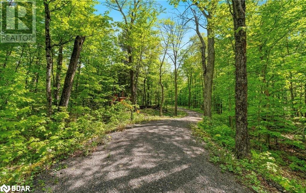 Listing 40370315 - Large Photo # 11