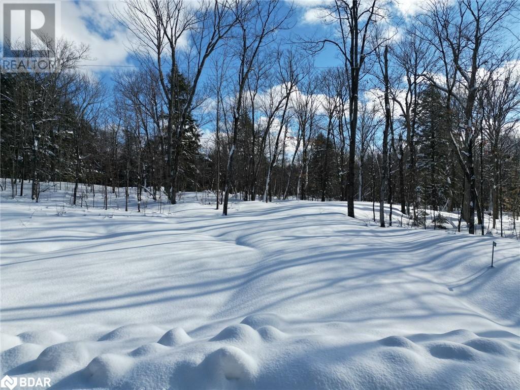 Listing 40370315 - Large Photo # 6