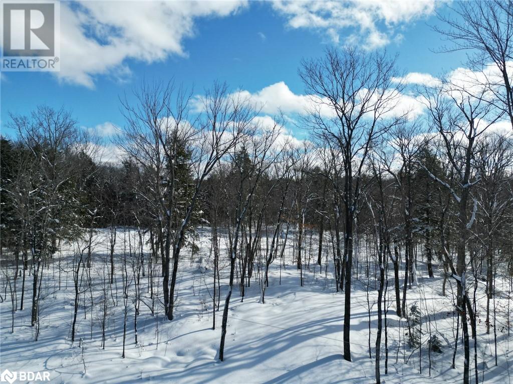 Listing 40370315 - Large Photo # 4