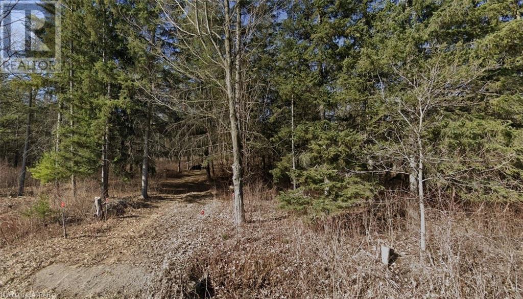 Listing 40370395 - Large Photo # 2