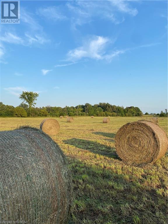 Listing 40370677 - Large Photo # 42