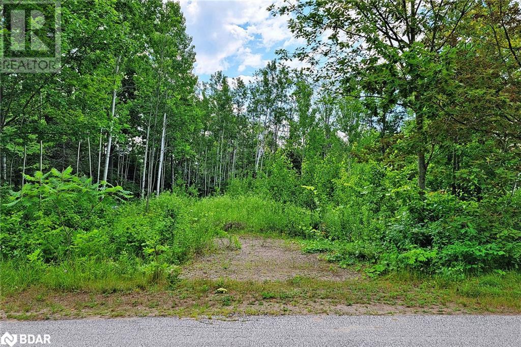 Listing 40370885 - Large Photo # 5