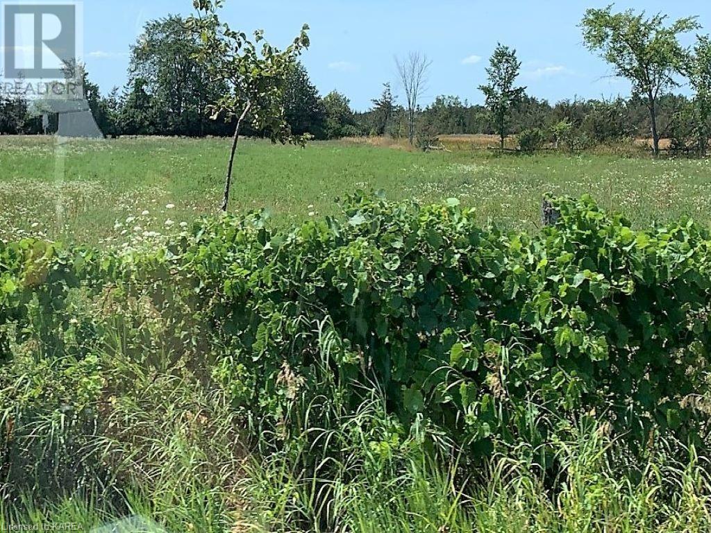 Listing 40370965 - Large Photo # 3