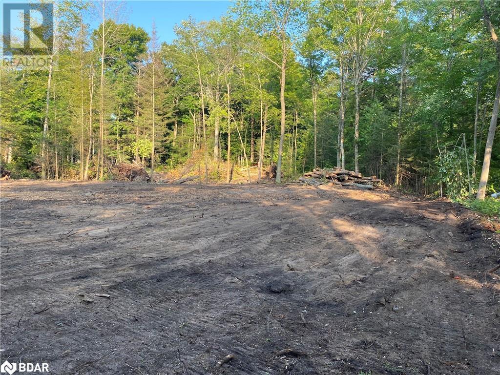 Listing 40371396 - Large Photo # 1