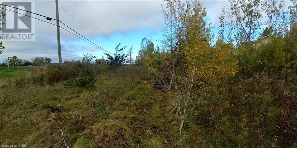 Listing 40371758 - Large Photo # 8