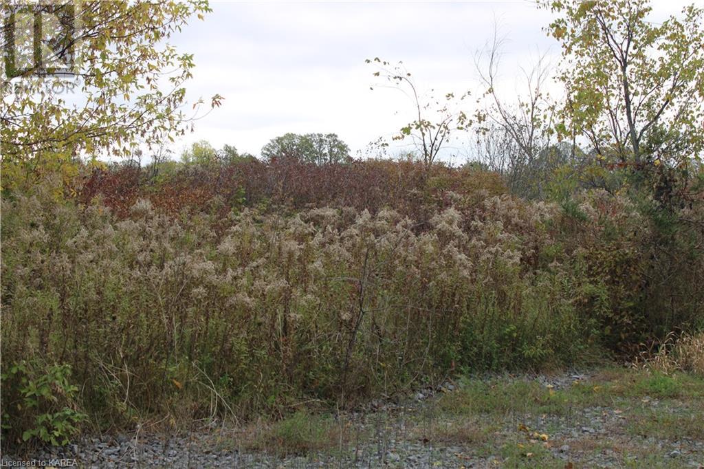 Listing 40371758 - Large Photo # 19