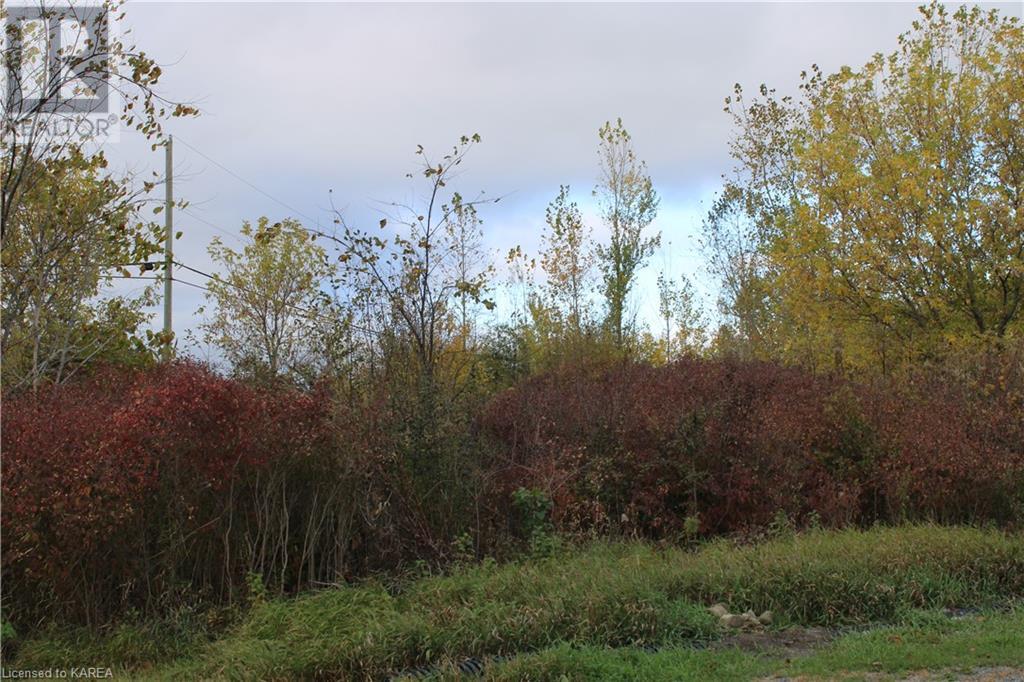 Listing 40371758 - Large Photo # 14