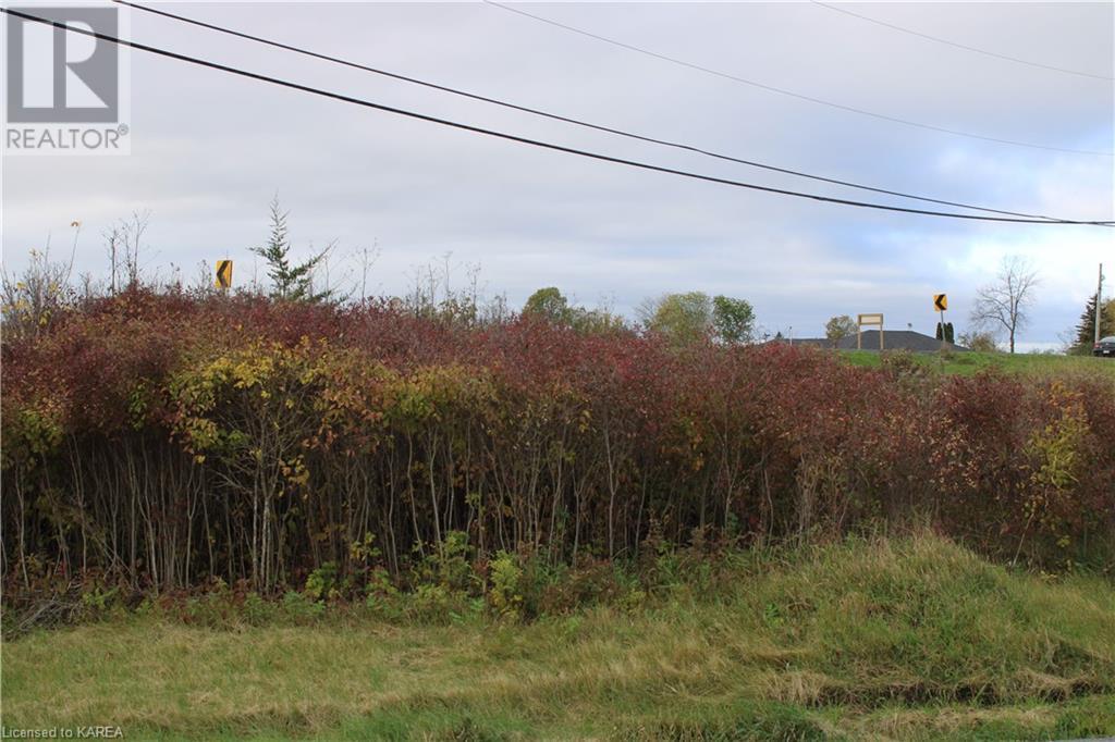 Listing 40371758 - Large Photo # 13