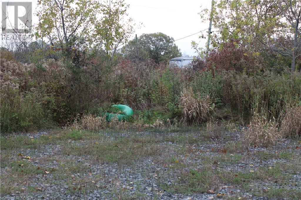 Listing 40371758 - Large Photo # 22