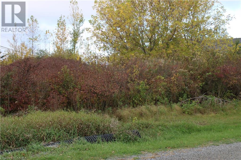Listing 40371758 - Large Photo # 16