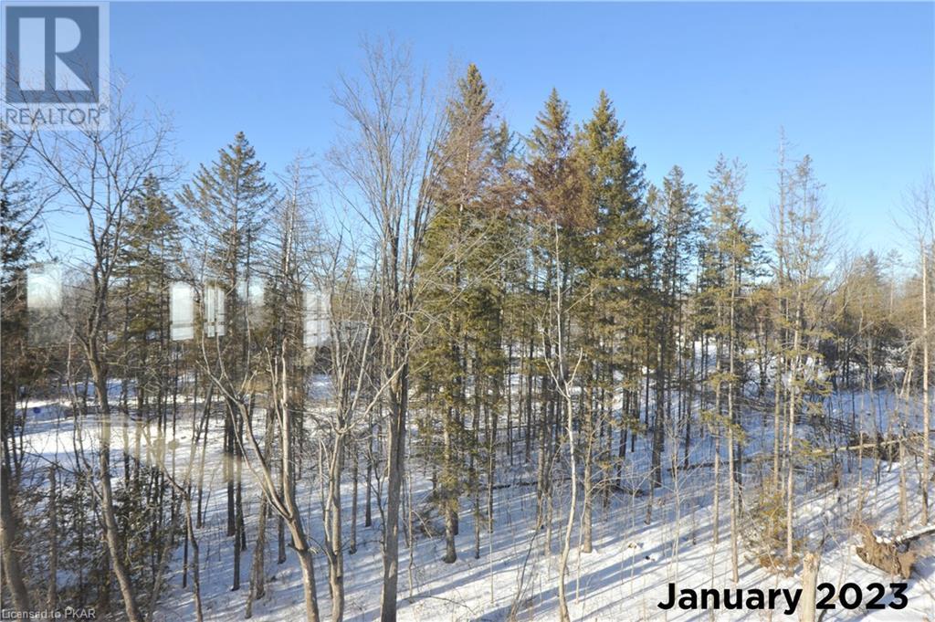 Listing 40372112 - Large Photo # 11