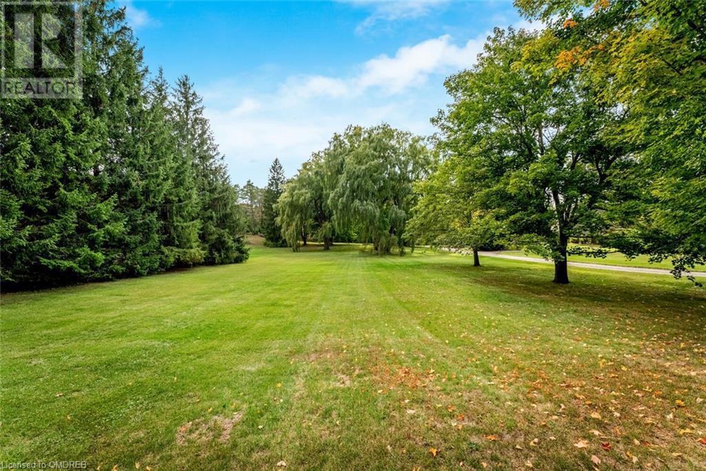 Listing 40372118 - Large Photo # 46