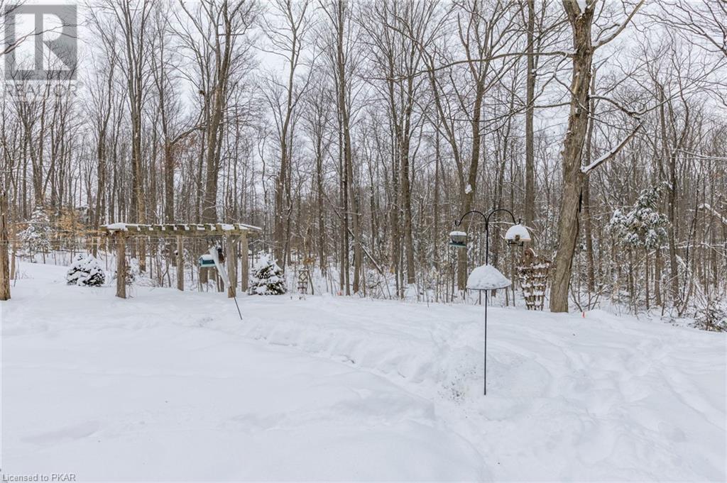 Listing 40372352 - Large Photo # 37