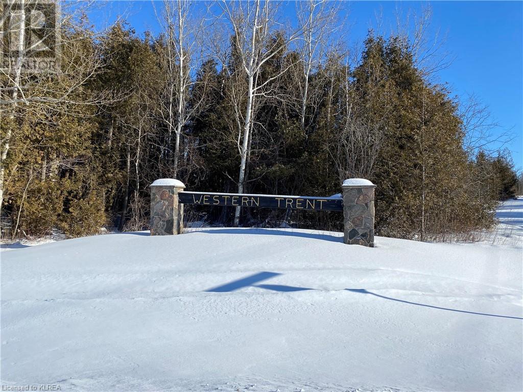 Listing 40372543 - Large Photo # 37
