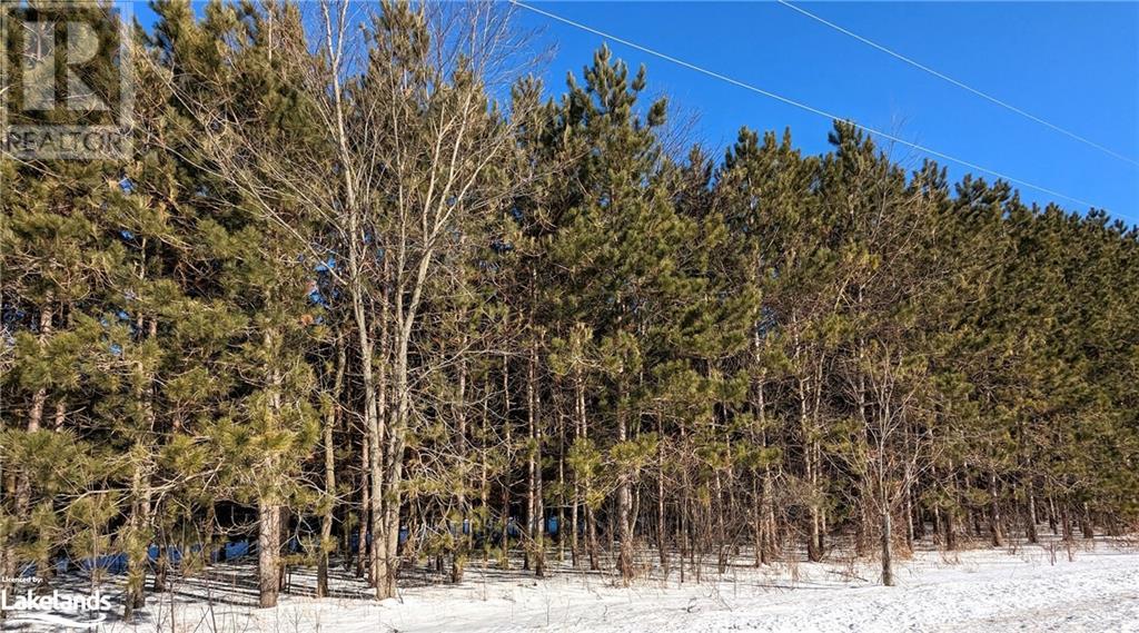 Listing 40372939 - Large Photo # 5