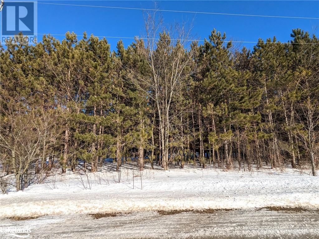 Listing 40372939 - Large Photo # 4