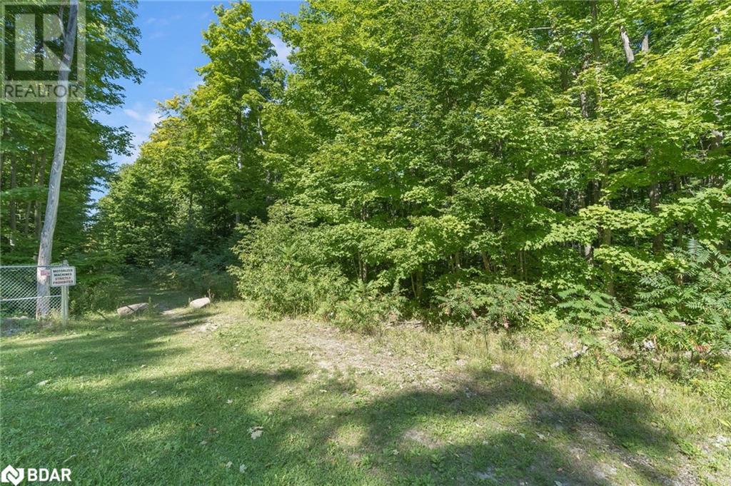 Listing 40372978 - Large Photo # 3