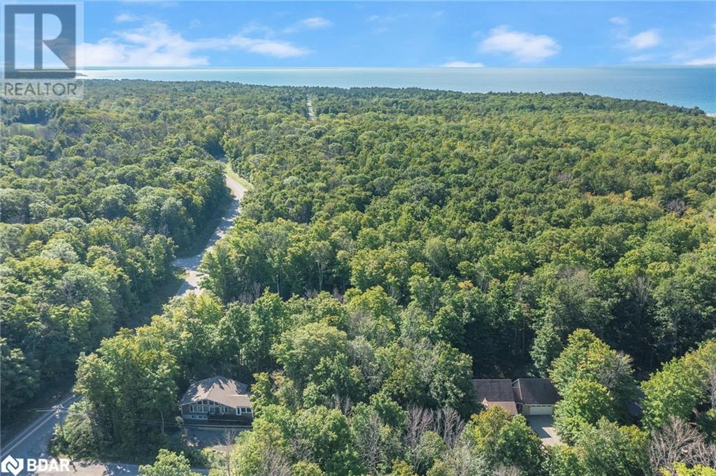 Listing 40372978 - Large Photo # 7
