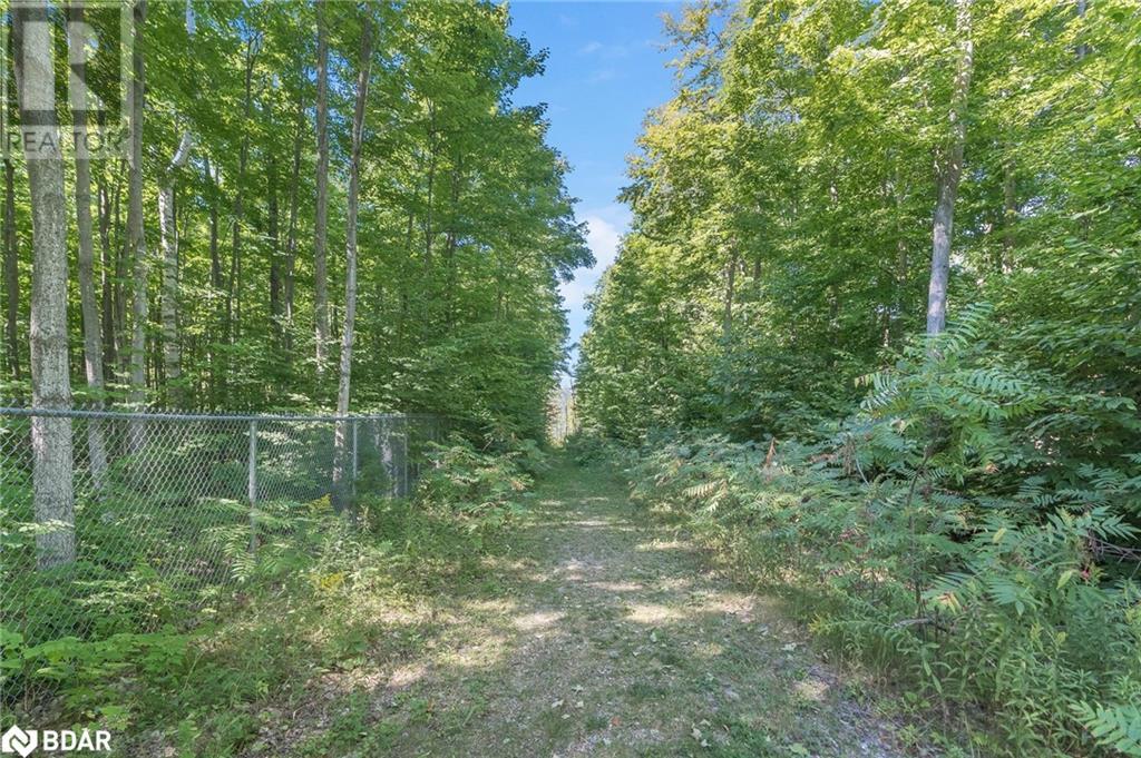 Listing 40372978 - Large Photo # 4