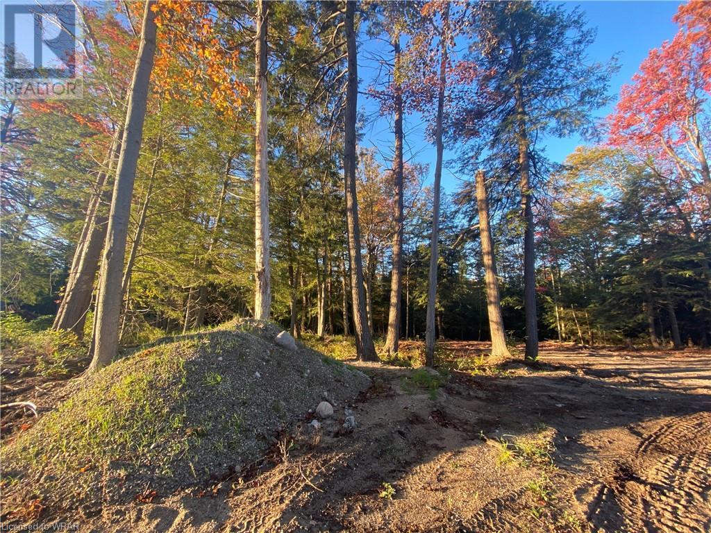 Listing 40373175 - Large Photo # 2